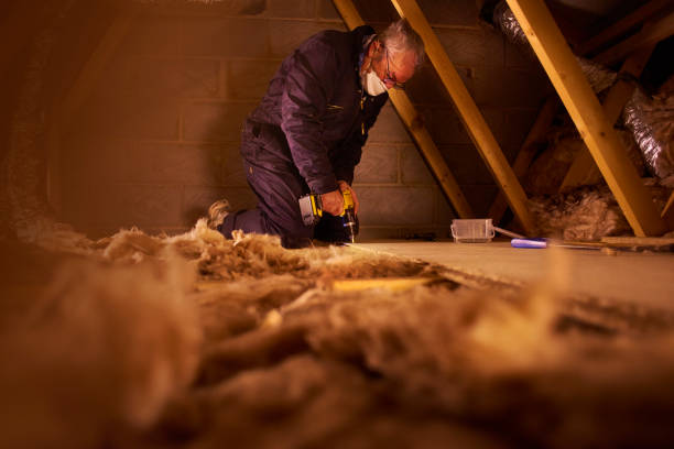 Best Eco-Friendly or Green Insulation Solutions  in Hettinger, ND